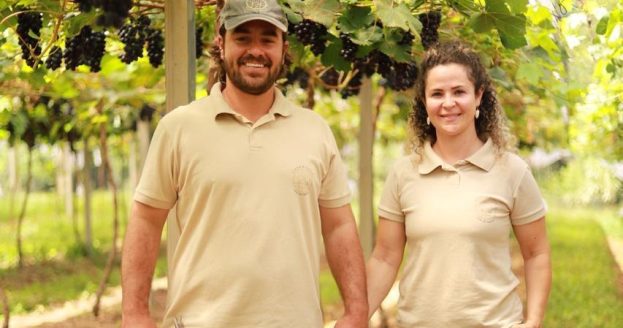 Produtor catarinense aposta na produção sustentável de uvas