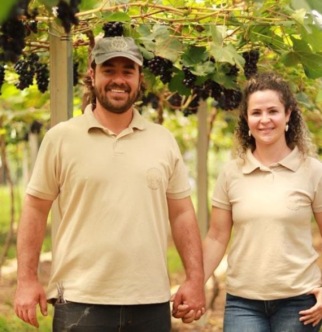 Produtor catarinense aposta na produção sustentável de uvas