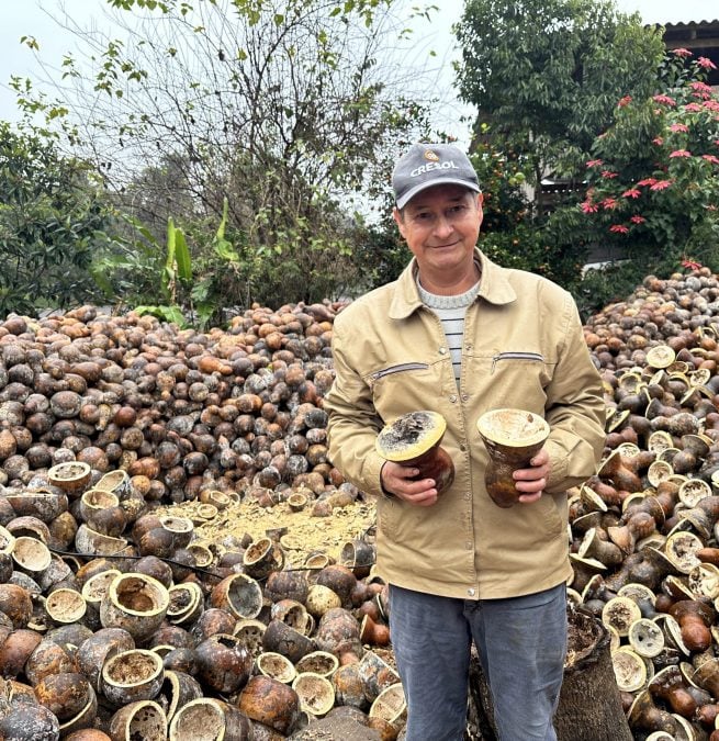 Linhas do Plano Safra apoiam produtores gaúchos