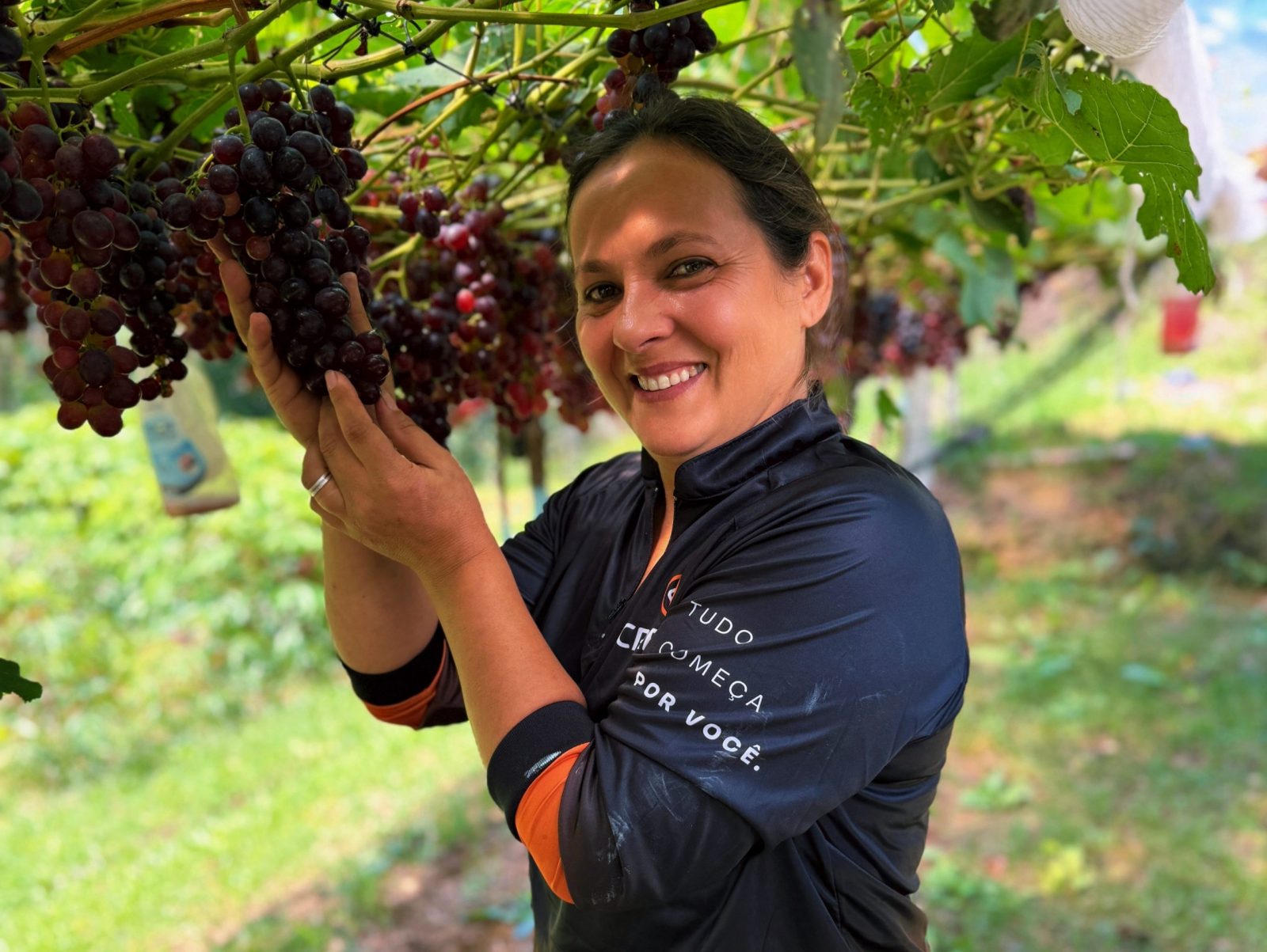 cooperada aposta no turismo rural na propriedade agricultora diversifica propriedade e investe no turismo rural e na cooperação
