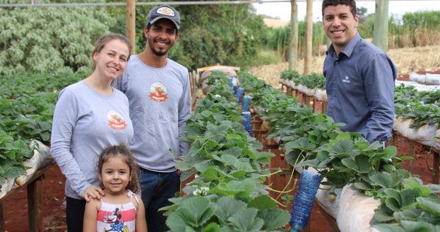 cresol agricultura familiar plano safra 1