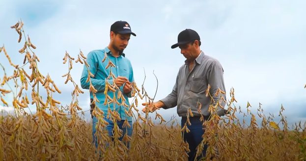 Cooperativa Cresol Plano Safra 2023