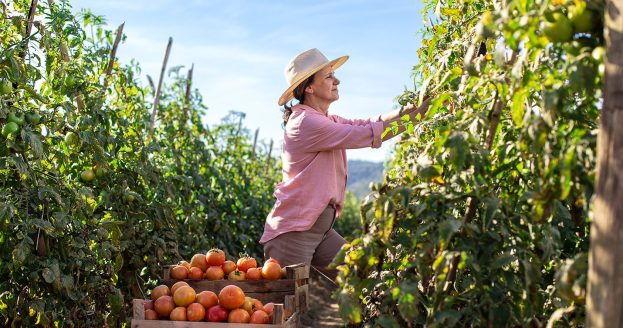 Produtora rural agronegócio