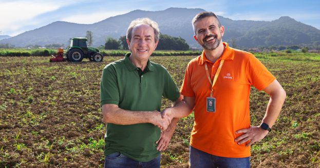 cresol plano safra