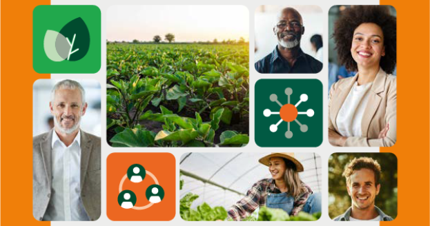 relatório de sustentabilidade cresol 2025